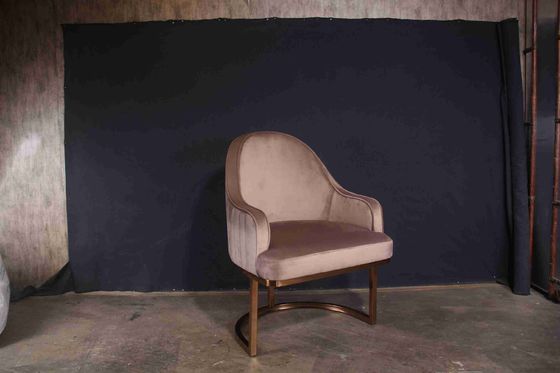 Καλή τιμή Σκανδιναβικό χαμηλό πίσω γεμισμένο να δειπνήσει εδρών INS ύφους δέρμα εδρών εστιατορίων πολυτέλειας καφέ σύγχρονο σε απευθείας σύνδεση